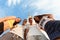 Group of teenagers. Young girls and boys hugging and smiling on a blue sky background. Friendship concept. Copy space.