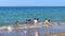 Group of teens swimming together in the sea