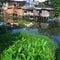 Group of temporary house and unsafe life on polluted water of canal