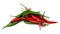 Group Thai red Chili pepper very Spicy for Thai Recipe