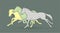 Group of three  horses running cartoon graphic