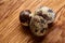 Group of three quail eggs on a wooden table, top view, close-up, selective focus, copy space.