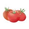 Group of three realistic tomatoes isolated on a white background. Harvest festival card. Autumn gifts.