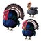 Group of three turkeys of different ages. Vector