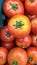 Group of tomatoes lying on a pile on top of each other, tomato texture. Selective focus, for content creation