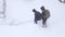 A group of tourists descends from the top of a snow-covered mountain.