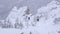 A group of tourists descends from the top of a snow-covered mountain.