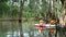 A group of tourists enjoying with the sets off for a guided kayak tour in the ancient mangrove forest