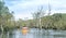 A group of tourists enjoying with the sets off for a guided kayak tour in the ancient mangrove forest