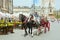 The group of tourists have excurtion on horses cart in historical part of Krakow