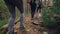 Group of tourists is hiking in forest walking among trees with plants and rocks around them, focus on legs and feet