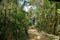 Group of Tourists in the Middle of the Hiking Road to Paramo