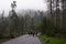 A group of tourists in the mountains among the mountains in the fog