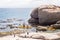 A group of tourists on paddle skis viewing penguins near Boulders Beach, Simon`s Town, South Africa