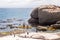 A group of tourists on paddle skis viewing penguins near Boulders Beach, Simon`s Town, South Africa