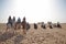 Group of tourists riding camels, Sahara
