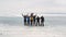 A group of tourists travels along the ice of the frozen Lake Baikal. Clip. Aerial view of happy people waving to the