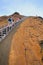 Group of tourists walking on a boardwalk on Bartolome island