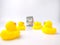 Group of toy ducks follow the banknotes