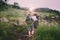 Group of traveler friends walking together at rain forest,Enjoying backpacking concept,Back view