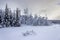 Group of trees in deep snowy landscape in front of small village