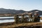 Group of Trees with Lake and Mountain in Chula Vista