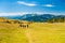 Group of trekkers hikers with backpacks descending with veiw of Maramures ridge from Rodna Mountains, Muntii Rodnei National Park