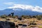 Group of trekkers hiking in Kilimanjaro