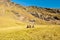 Group of trekkers resting in high mountains. Young men and women hiking near Sary Chelek lake, Sary-Chelek Jalal Abad region,