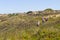 Group trekking over the cliffs in Almograve