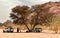 A group of Tuareg men with jeeps rest under a tree with the rocky Sahara Desert in the background, Djanet, Algeria, Africa