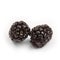 Group of two ripe blackberries isolated. Blackberries isolated, blackberry.