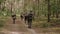 Group Of Unidentified Re-enactors Dressed As German Wehrmacht Soldier Walk In Forest.