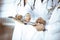 Group of unknown doctors, men and a woman, with stethoscopes, discuss medical exam resoults, using a clipboard and a