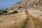 Group of unrecognised people hiking in nature on a trail. Healthy lifestyle walking outdoors