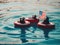 A group of USA patriotic otters floating in a pool of water on inflatable laps with US flag on Independence Day