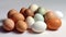 Group of Varied Eggs on Plain Background