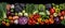 Group of vegetables, Top view with aesthetic arrangement, Black background.