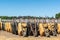 Group of vertical wheelbarrows on harvest fair, Moorpark California.