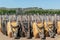 Group of vertical wheelbarrows on harvest fair, Moorpark California.