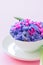 Group of violet and magenta petals of hyacinth flower in a white