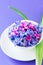 Group of violet and magenta petals of hyacinth flower in a white bowl.