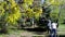 Group of volunteers with garbage bags cleans the territory in the park from old foliage, branches and garbage in the spring