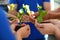 Group of volunteers holding soil with sprouts in hands outdoors