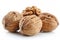 A Group of Walnuts on a White Background Generative AI
