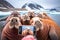 A group of walrus taking a self portrait with a mobile phone