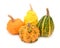 Group of warted ornamental gourds in different colours