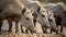 A group of warthogs foraging for food created with Generative AI