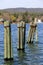 Group of weathered wood pilings in calm waters of lake