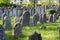 Group of well-preserved jewish graves in green grass in sunlight, small Jewish cemetery in Hermanuv mestec in Czech republic